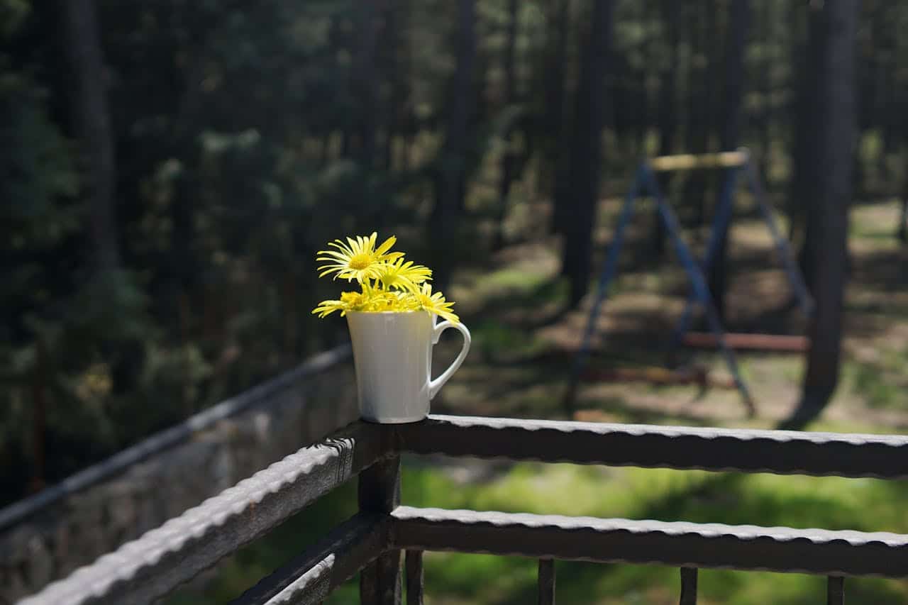 Jardineros a domicilio en Bilbao y Vitoria: precios y servicios